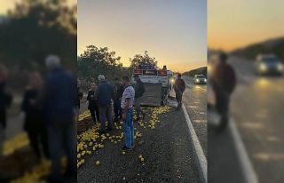 Tekeri patlayan elma yüklü kamyonet devrildi