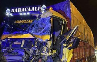 TEM’de 2 kamyon çarpıştı, araçta sıkışan...