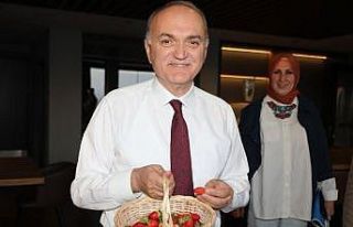 Tesiste yetişen çilekler hasat edildi