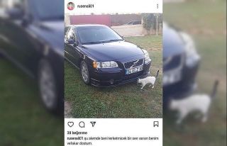 Tır ile çarpışan otomobilin sürücüsü hayatını...