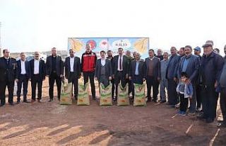 Tohumluk Buğday dağıtımı tamamlandı