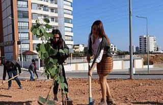Toros Üniversitesi öğrencileri fidanları toprakla...