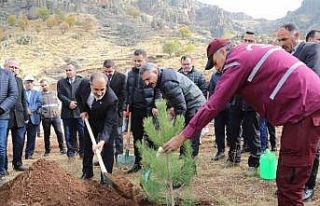 Tunceli’de 20 bin fidan toprakla buluşturuldu