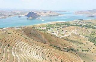 Tunceli’de 56 bin fidan toprakla buluştu