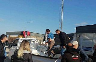 Türkelili arıcılara 20 ton toz şeker dağıtıldı