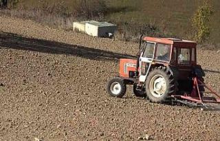 Türkiye’nin en ucuz ekmeği artık bu tarladan...