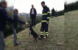 Uçuruma düşen köpeği itfaiye kurtardı