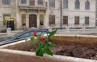 Ümit Özdağ fidan istedi, partililer süs biberi...