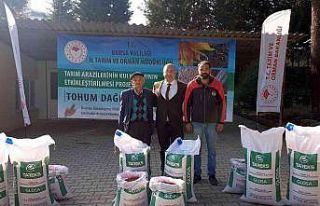 Un fiyatlarının düşmesi için buğday ekilen alanlar...