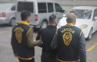 Uslanmaz hırsız kameralara yakalandı