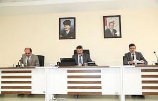 Vali Ali Çelik: "Su probleminin hem bireysel...