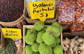 Vatandaşın ağrı kesici arayışına “Yalancı...