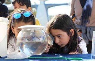 Vatandaşlara vektörle mücadele bilgilendirmesi