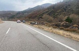 Virajı alamayan kamyonet şarampole devrildi: 1 yaralı