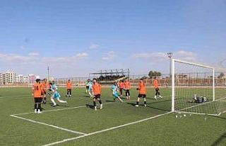 Viranşehir Belediyespor rakibini eli boş gönderdi