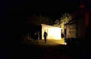 Yanan ağaç, bağ evine sirayet etmeden söndürüldü