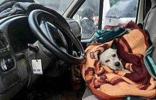 Yanından ayırmadığı Atlas’ını kaybetti