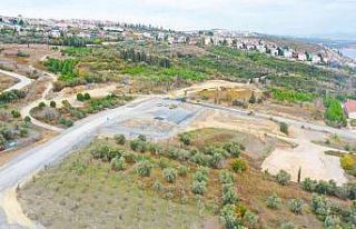 Yeşilin her tonu burada görülecek