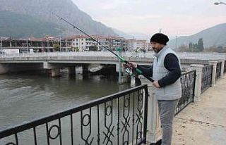 Yeşilırmak’ta su samuru ailesi görüldü, vatandaşlar...