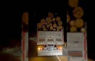 Yola savrulan tomruklar otomobile çarptı: 1 yaralı