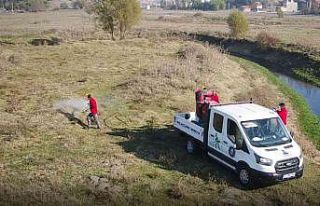 Yoncalı meraları kene zararlısına karşı ilaçlandı