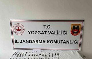 Yozgat’ta 212 sikke ve 21 tarihi obje ele geçirildi