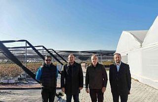 Yüzyılın sağlık meyvesi maviyemiş Sermayecik...