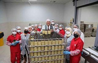 Zahmetle toplanan narlar Efelerli kadınların elinde...