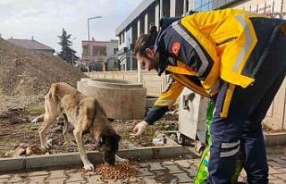 112 Personellerinden sokak hayvanlarına mama desteği