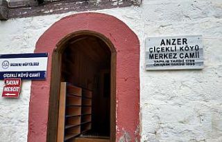 223 yıllık cami koruma altına alındı