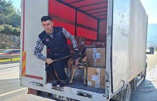 24 saatte 15 bin araç girdi