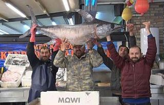 77 kiloluk kılıç balığını sırtladığı görüntüler...