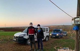 Adıyaman’da 3 köy kuduz nedeniyle karantinaya...