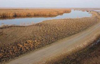 Ağrı Dağı eteklerinde yer alan Karasu’nun suyu...