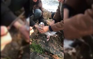 Ağzına ip takılan martının yardımına polisler...