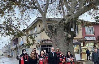 Aile ve Sosyal Hizmetler Müdürlüğü Tut ilçesine...