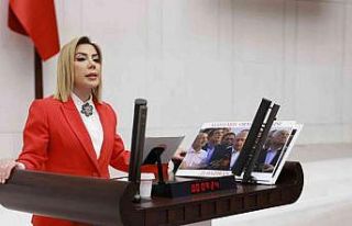 Ak Parti Muğla Milletvekili Gökcan’dan yeni yıl...