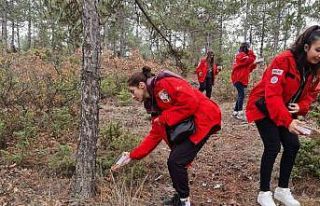 AKUT ve öğrenci kulüpleri sokak hayvanlarına yiyecek...