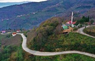Altınordu’da beton yol çalışmaları sürüyor