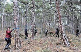 Altıntaş Akbayır Orman İşletme Şefliği’nde...