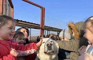 Anneleri ile aynı çatı altında eğitim alıyorlar