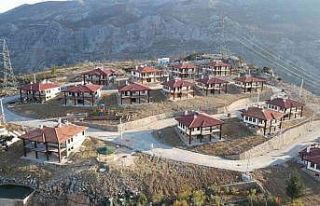 Antalya’daki orman yangını sonrası TOKİ yeni...