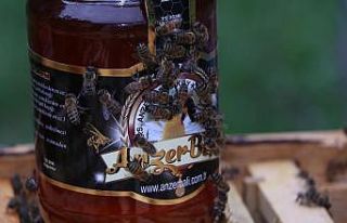 Anzer Balı satışa çıktı, öncelik hastaların