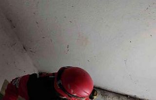 Apartman boşluğunda mahsur kalan kediyi AKUT ekibi...