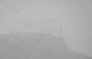 Araban’da yoğun sis