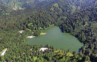 Artvin’in Karagölleri’ni bir yılda 140 bin kişi...