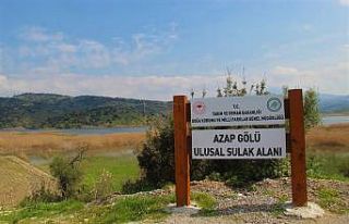 Aydın’da doğaseverler Azap Gölü’ne dikkat...