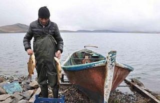Aygır Gölü’nden tuttuğu balıklarla geçimini...