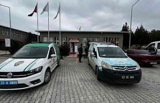 Bacağı kırık tay, tedavi altına alındı