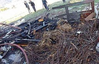 Bahçedeki odunlar tutuştu ev yanmaktan kurtuldu